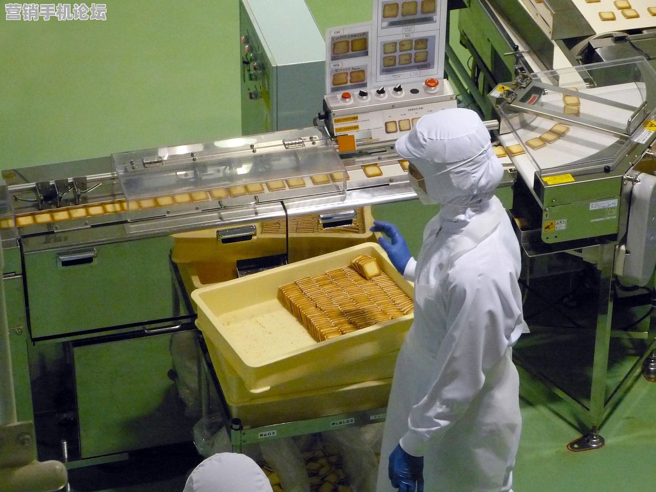 视频号矩阵运营如何避免封号？2025蚂蚁机防检测技术实测报告
