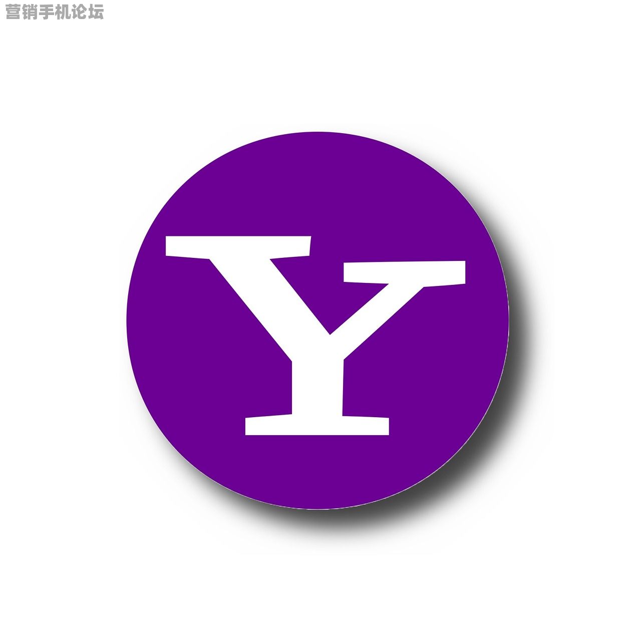 2000动态IP毫秒切换！反平台检测的AI决策引擎