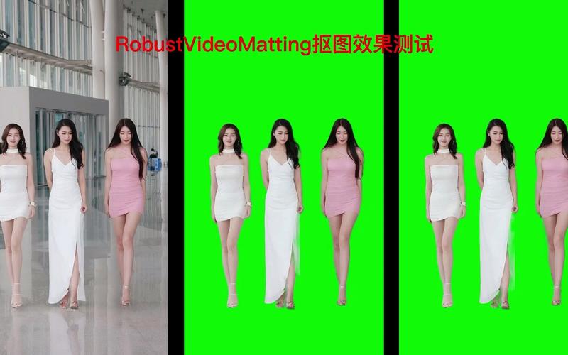 RobustVideoMatting AI：强大循环神经网络，支持高帧率抠像