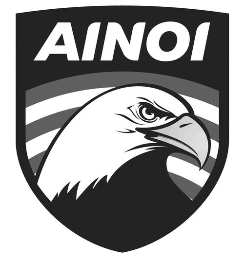 Noi ai：自定义Prompt与批量提问，提升创作效率